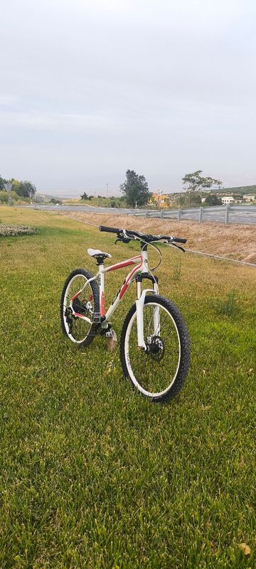 Used BH Custom Other Shimano 2010 Mountainbike, White — image 2 of 10