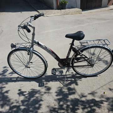 Gebrauchtes Bottecchia Verde Naatura 2010 Urban & Touring