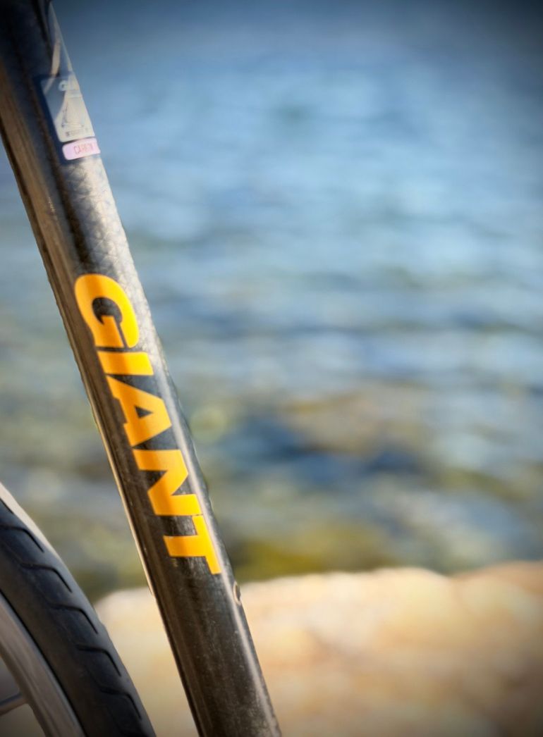 Použité Giant Cadex Other Campagnolo 2000 Road & Gravel — obrázek 4 z 9