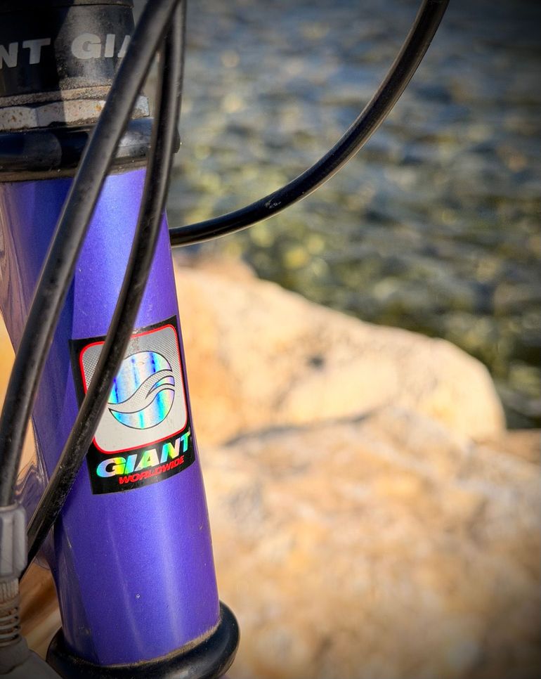 Použité Giant Cadex Other Campagnolo 2000 Road & Gravel — obrázek 7 z 9
