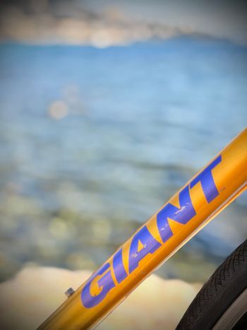 Použité Giant Cadex Other Campagnolo 2000 Road & Gravel — obrázek 2 z 9