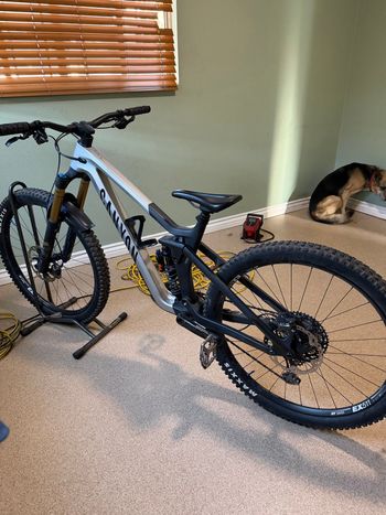 Used Canyon Strive CFR 2024 2024 MTB