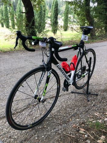 Gebrauchtes Cannondale CAAD 10 2015 Road & Gravel, Weiß — Bild 2 von 4