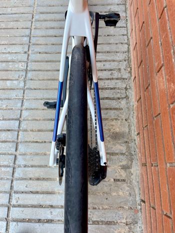 Tweedehands Megamo PULSE 05 CW 2026 2026 Road & Gravel — afbeelding 9 van 14