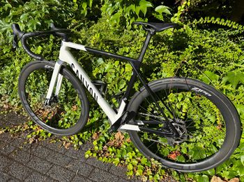 Brugt Canyon Ultimate CF SL 7 eTap 2023 2023 Road & Gravel — billede 6 af 7