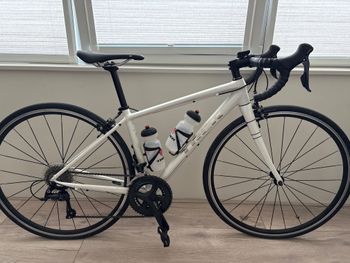 Used Trek Domane AL 3 Women's 2020 2020 Road & Gravel