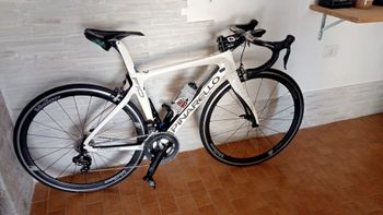 Used Pinarello Dogma Frameset 2018 Road & Gravel