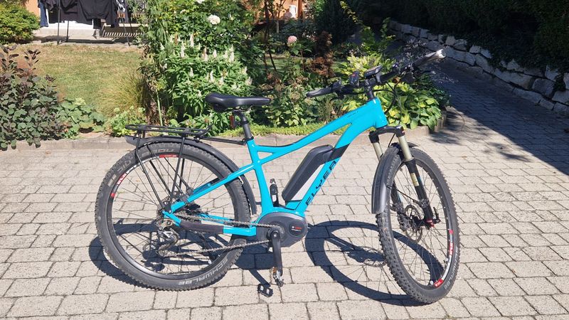Used Flyer 1 Bj 2017 2017 MTB