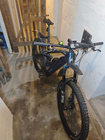 Used Swype Freqz 4.0 2024 MTB