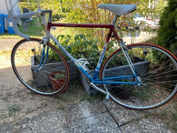 Gebrauchtes Gazelle Champion Mondial Reynolds 531c (competition) 1985 Road & Gravel