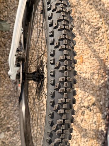 Gebrauchtes Trek Procaliber 9.5 2021 2021 Mountainbike, Hellgrau, 29 — Bild 3 von 5