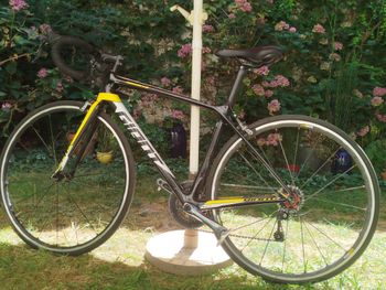 Použité Giant Tcr Shimano Ultegra 2023 Road & Gravel