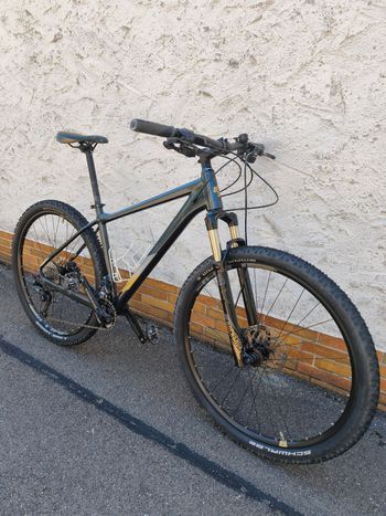 Used CUBE ACCESS WS SL 2019 2019 Mountainbike, Light Gray, 27.5, 29 — image 2 of 16