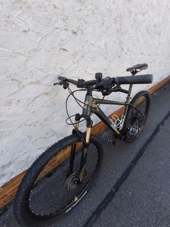 Used CUBE ACCESS WS SL 2019 2019 Mountainbike, Light Gray, 27.5, 29 — image 4 of 16