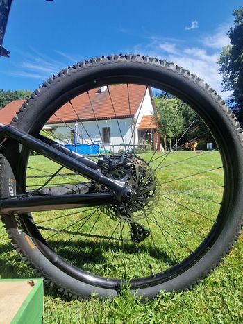 Brugt Dartmoor BLACKBIRD INTRO 29 2026 2026 Mountainbike — billede 6 af 7