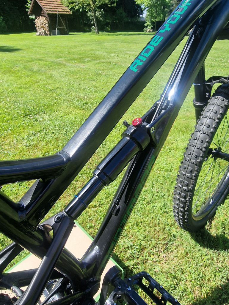 Brugt Dartmoor BLACKBIRD INTRO 29 2026 2026 Mountainbike — billede 4 af 7