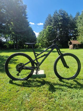 Brugt Dartmoor BLACKBIRD INTRO 29 2026 2026 MTB