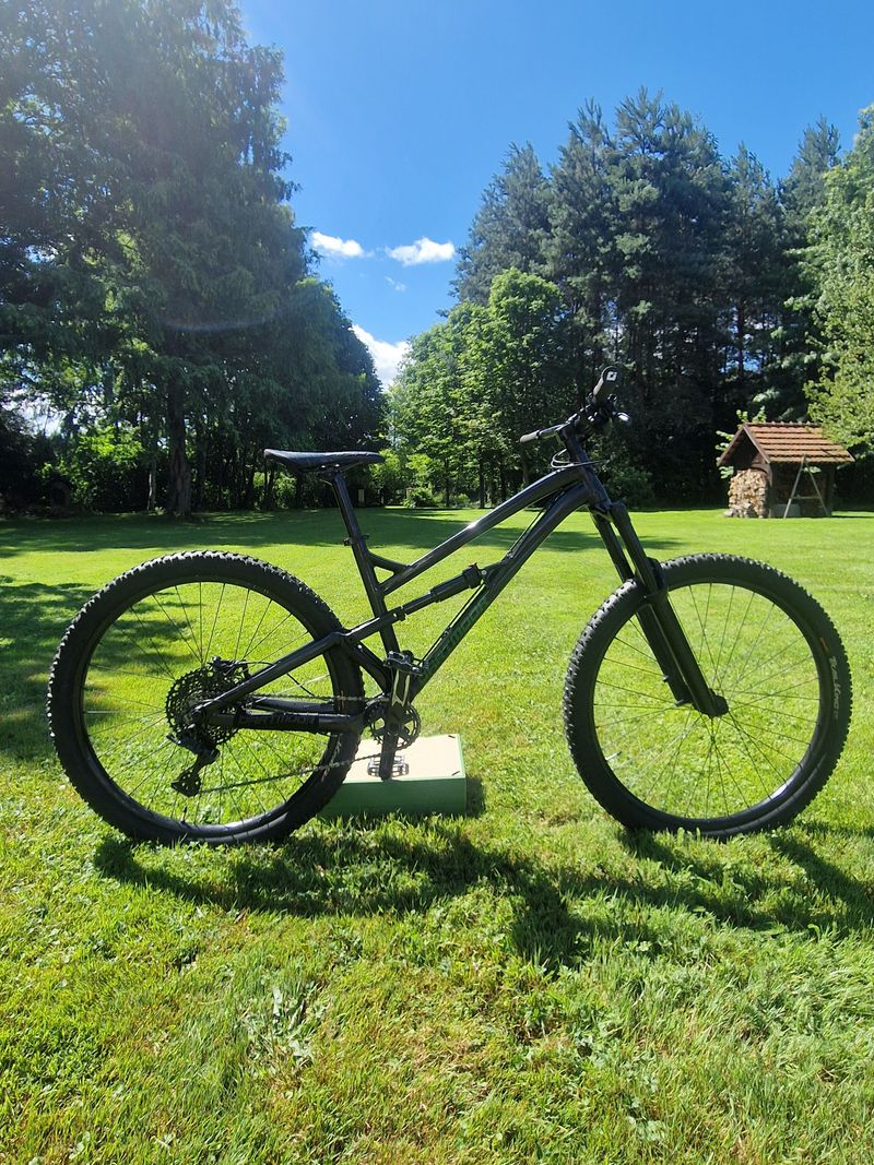 Gebrauchtes Dartmoor BLACKBIRD INTRO 29 2026 2026 MTB