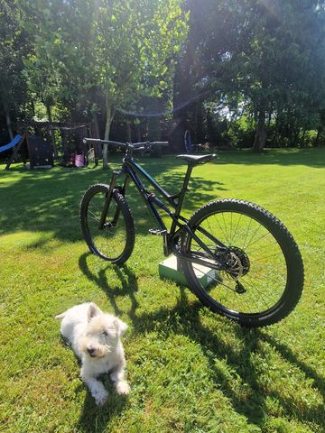 Dartmoor BLACKBIRD INTRO 29 2026 2026 Mountainbike usato, Nero — immagine 2 di 7