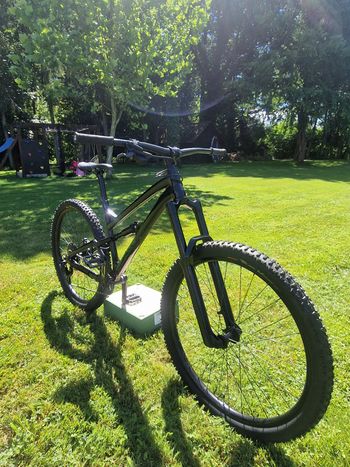 Brugt Dartmoor BLACKBIRD INTRO 29 2026 2026 Mountainbike — billede 3 af 7