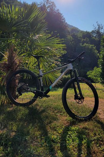 Berria BRAVO PRO S1000 AXS 2025 2025 MTB usato