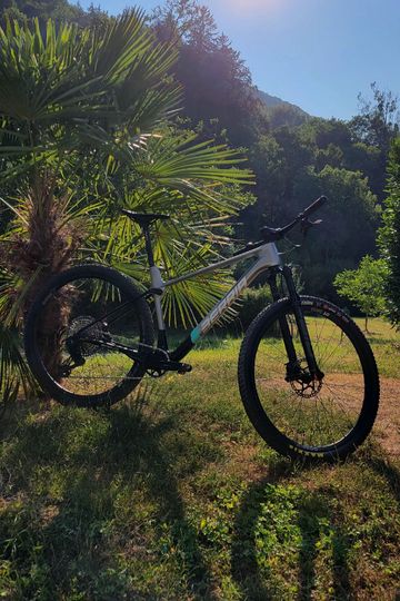 Gebrauchtes Berria BRAVO PRO S1000 AXS 2025 2025 MTB