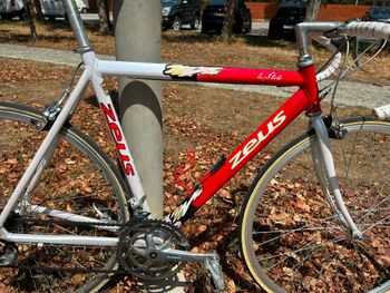 zeus La Fléche 2000 Road & Gravel d'occasion — image 13 sur 14
