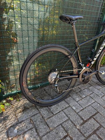 Brugt Canyon Endurace Young Hero 2026 2026 Road & Gravel — billede 11 af 13