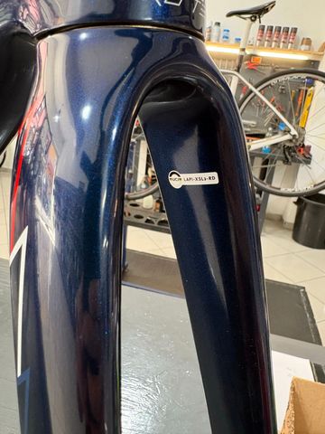 Used Lapierre Xelius SL 8.0 2023 Frameset 2023 Road & Gravel, Blue — image 12 of 12