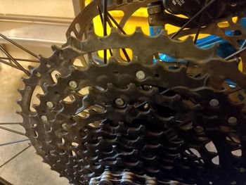 Used Raymon Trailray 9 2024 Mountainbike, Blue, 29 — image 11 of 15