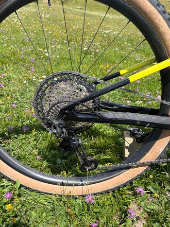 Brugt Orbea OIZ M10 2024 2024 Mountainbike — billede 3 af 6
