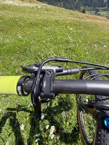 Brugt Orbea OIZ M10 2024 2024 Mountainbike — billede 5 af 6
