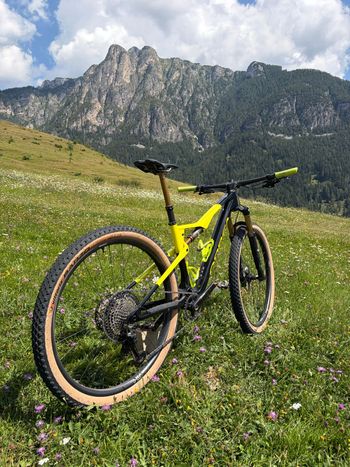 Brugt Orbea OIZ M10 2024 2024 Mountainbike — billede 6 af 6