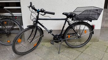 Tweedehands Staiger Freetime Urban — afbeelding 2 van 7