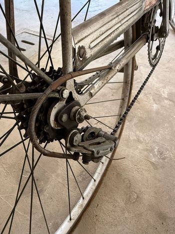 Gebrauchtes Romagna Custom 1975 Urban, Hellgrau — Bild 4 von 13