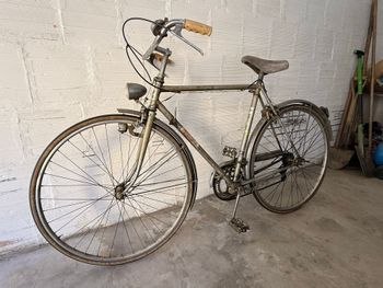 Gebrauchtes Romagna Custom 1975 Urban, Hellgrau — Bild 1 von 13
