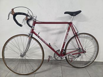 Wolhauser Custom Other 1974 Road & Gravel de segunda mano
