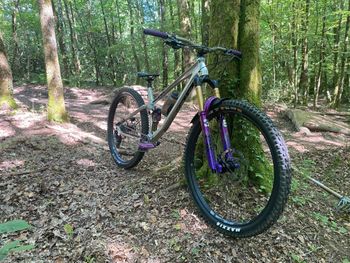 Used SUNN Kern Shimano Deore XT 2024 Mountainbike, Light Gray — image 3 of 6