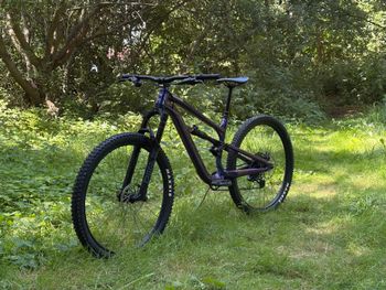 Used Cannondale Habit 3 2023 2023 MTB