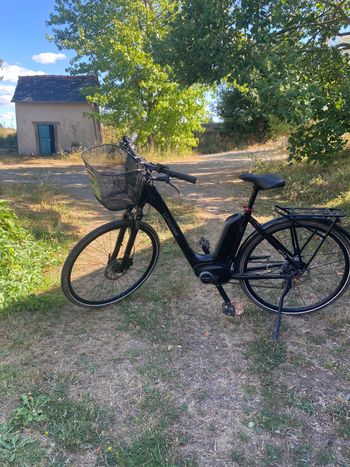 Winora Tria Eco 7 2019 2019 Urban & Touring de segunda mano
