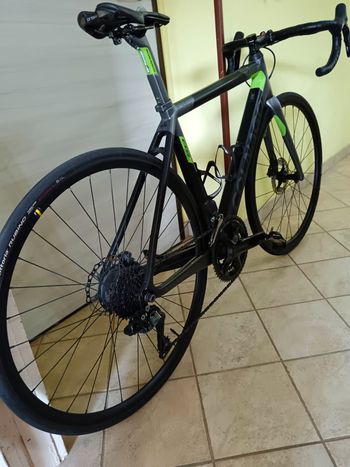 Brugt Colnago E64 Colnago 2023 2023 Road & Gravel — billede 6 af 9