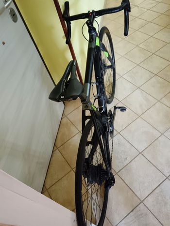 Brugt Colnago E64 Colnago 2023 2023 Road & Gravel — billede 9 af 9