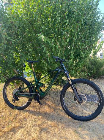 Mondraker ZENDIT RR S 2027 2027 MTB d'occasion