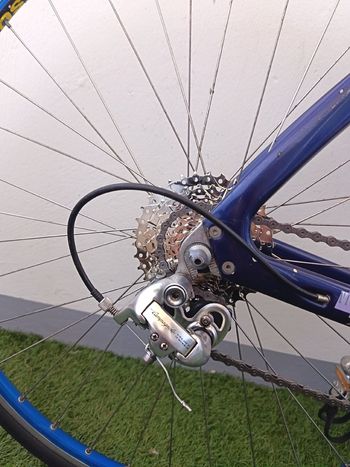 Gebrauchtes Vitus Zx-1 Campagnolo Veloce 1992 Road & Gravel, Blau — Bild 5 von 15