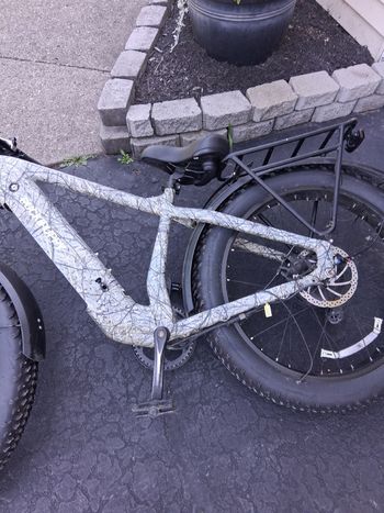 Used Puckipuppy Custom 2024 Urban, Green — image 3 of 5
