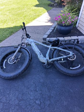 Used Puckipuppy Custom 2024 Urban & Touring