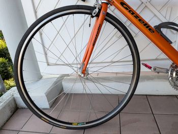 Used Gazelle Primavera 2000 Road & Gravel, Orange — image 20 of 20