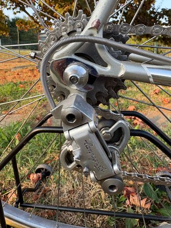 Tweedehands Bottecchia Custom Other Campagnolo 1985 Road & Gravel — afbeelding 2 van 12