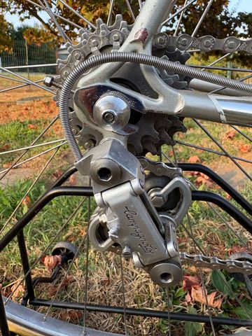 Used Bottecchia Custom Other Campagnolo 1985 Road & Gravel, Light Gray — image 2 of 12