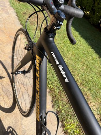 Brugt Ferraresso RACE 2020 2020 Road & Gravel — billede 6 af 10